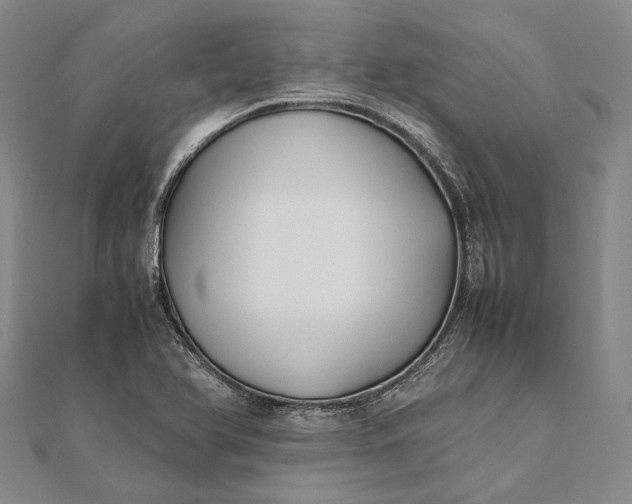 X0000111851366200908061305