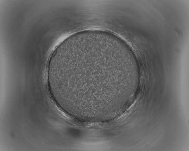 X0000111851367200908061305