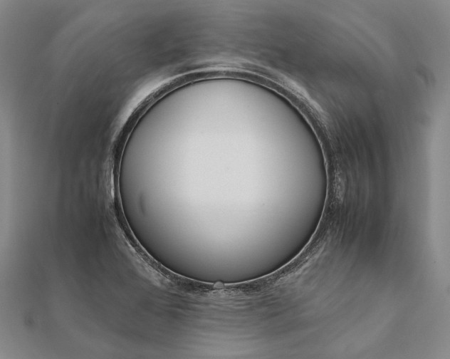 X0000111851368200908061305