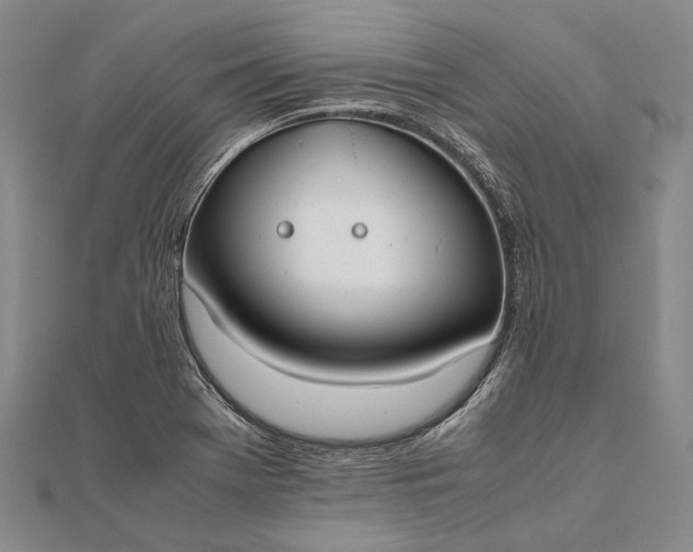 X0000111851369200908061305