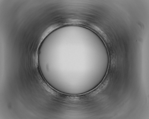 X0000111851370200908061305