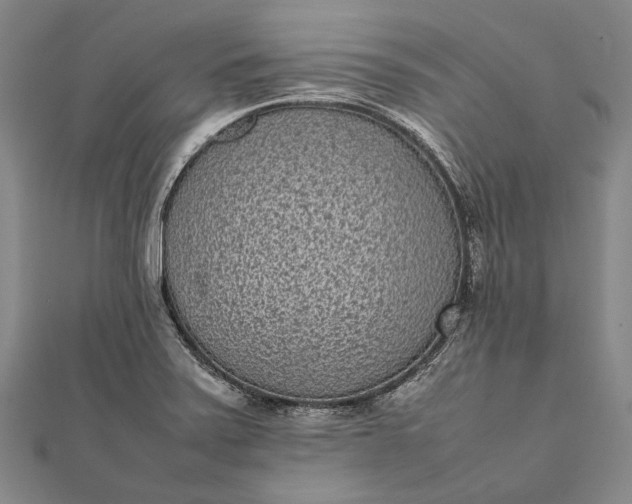 X0000111851371200908061305