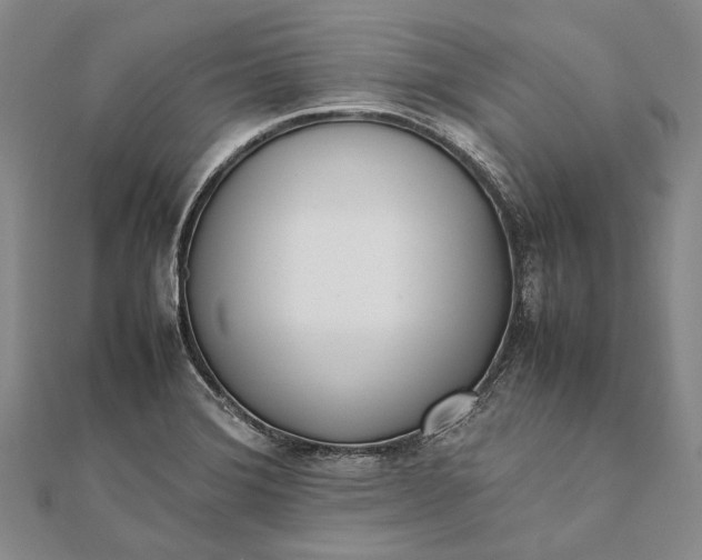 X0000111851372200908061305