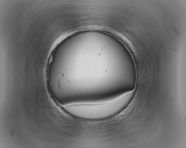 X0000111851373200908061305