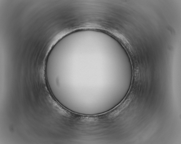 X0000111851374200908061305