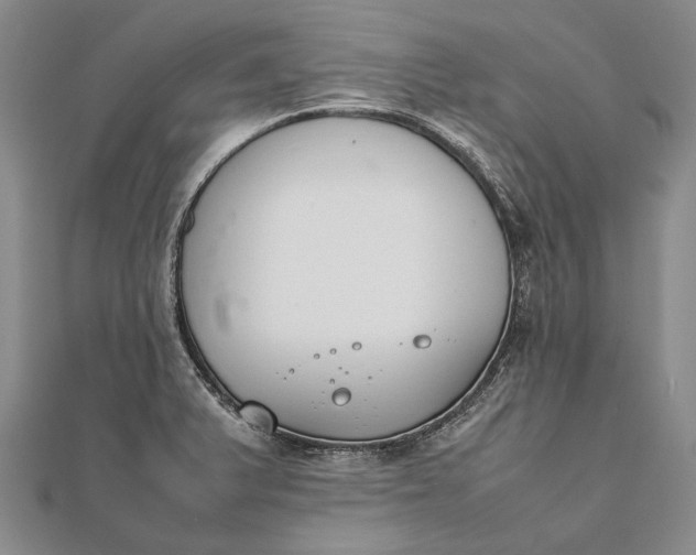 X0000111851375200908061305