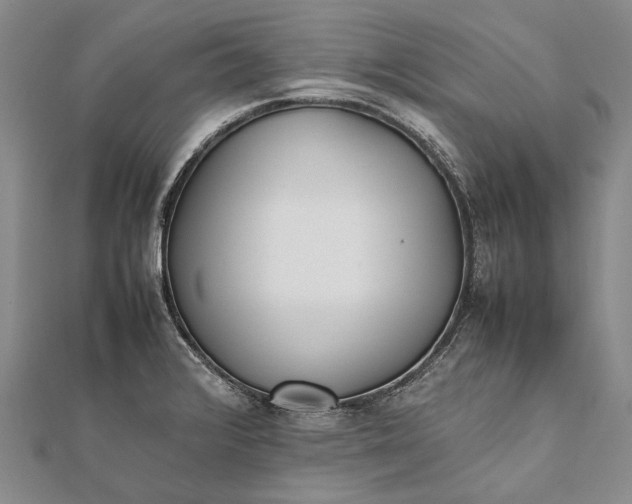 X0000111851376200908061305