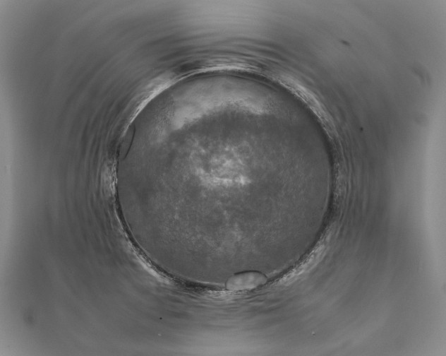 X0000111851377200908061305