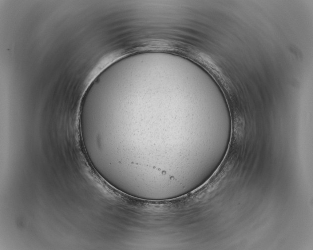 X0000111851378200908061305