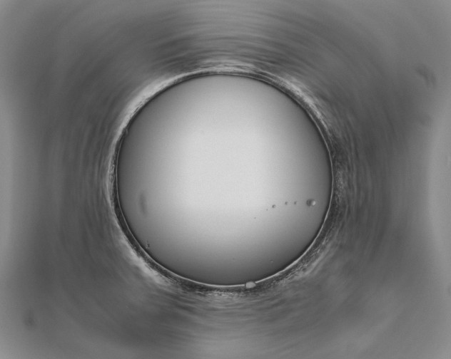 X0000111851379200908061305