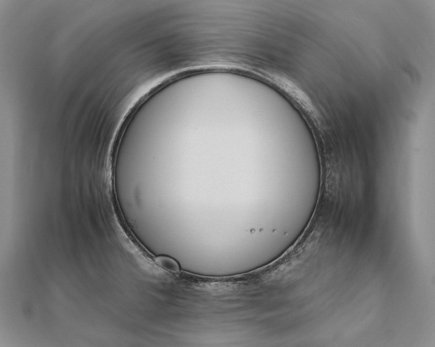 X0000111851380200908061305