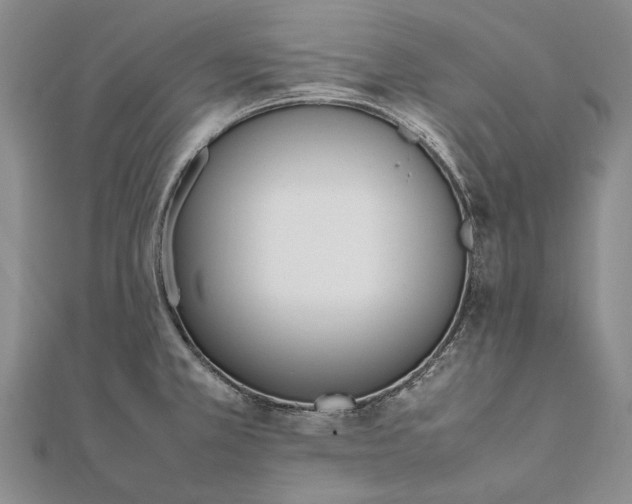 X0000111851381200908061305