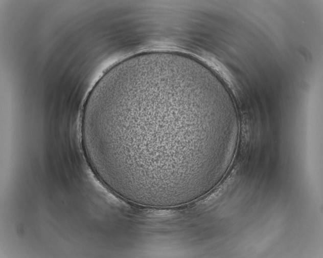 X0000111851382200908061305