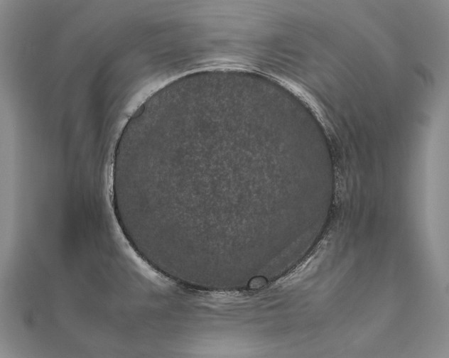 X0000111851383200908061305