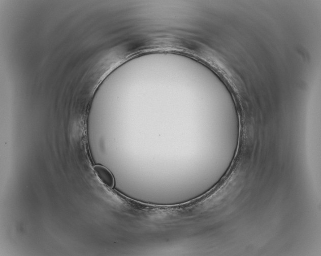 X0000111851385200908061305