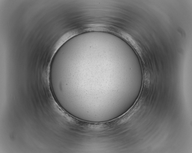 X0000111851386200908061305