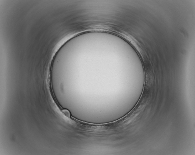 X0000111851387200908061305