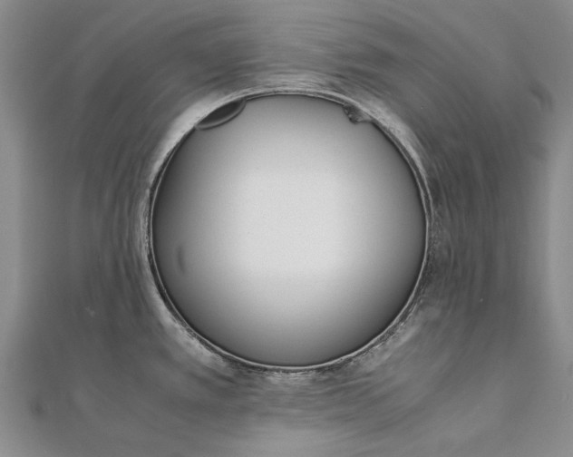 X0000111851389200908061305