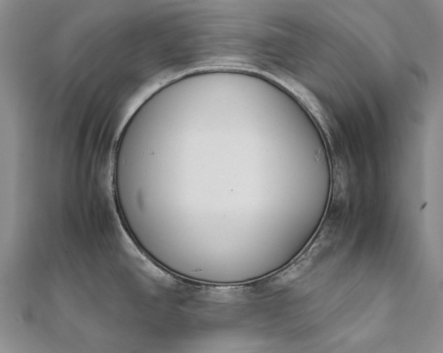 X0000111851390200908061305