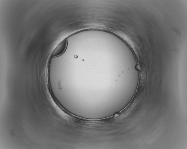 X0000111851391200908061305