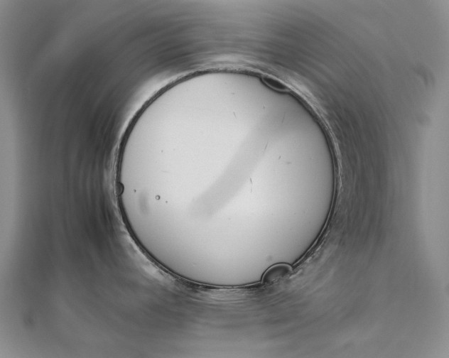 X0000111851392200908061305