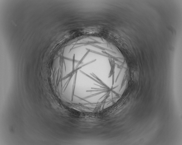 X0000111851393200908061304