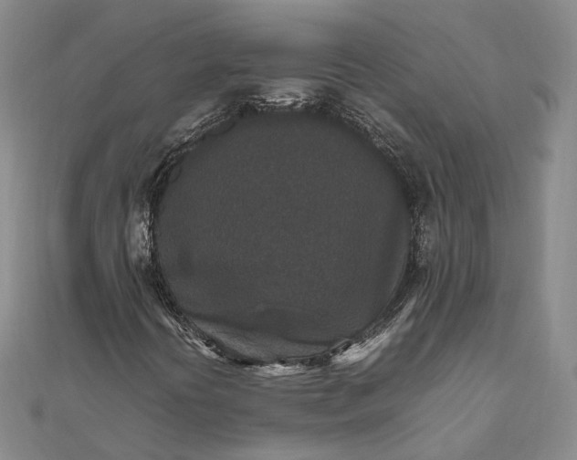 X0000111851394200908061304