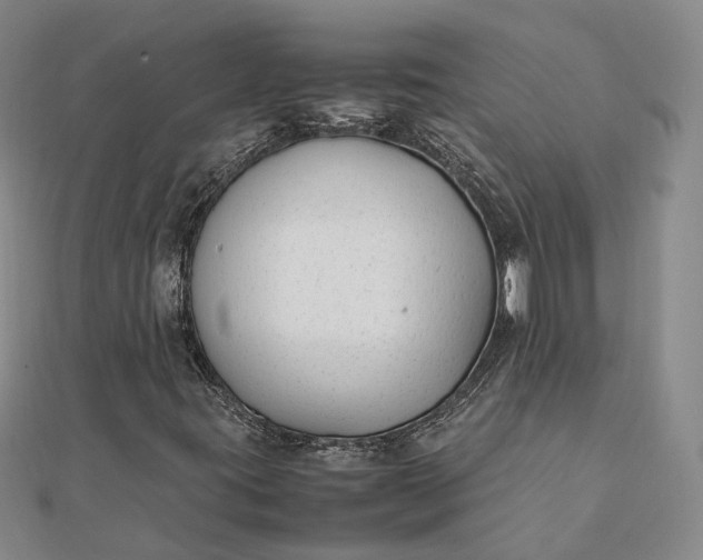 X0000111851395200908061304