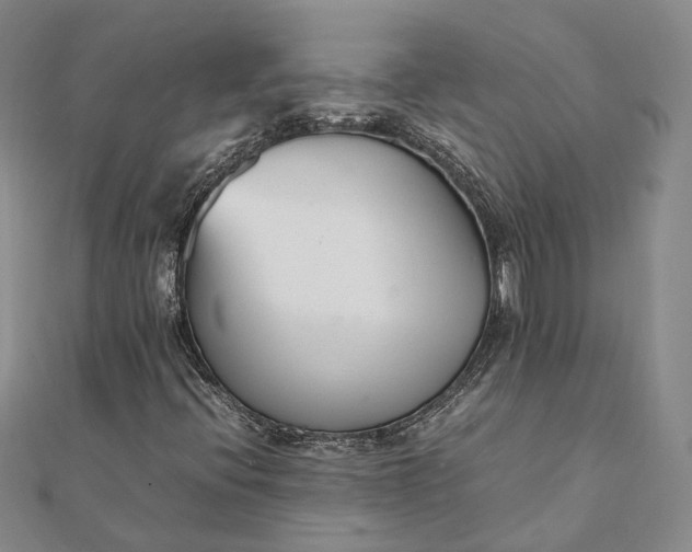 X0000111851396200908061304