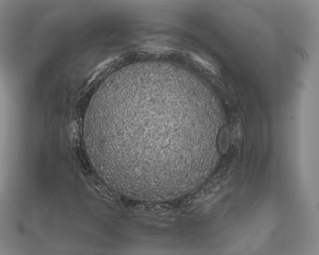 X0000111851397200908061304