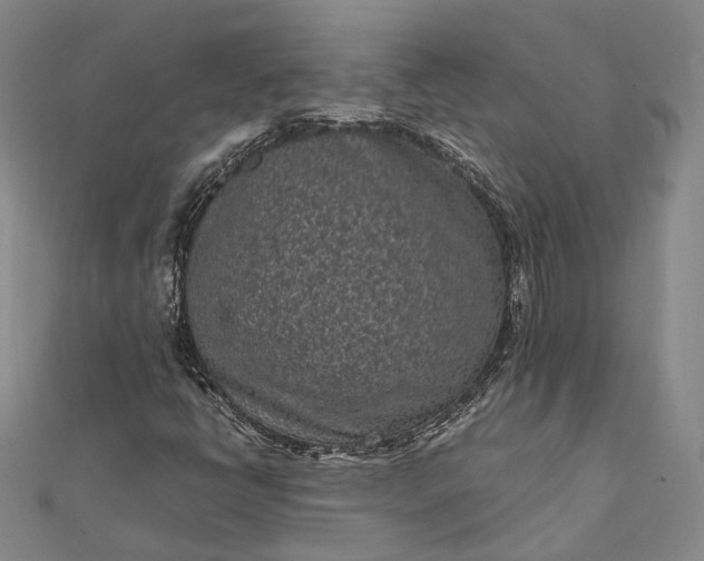 X0000111851398200908061304