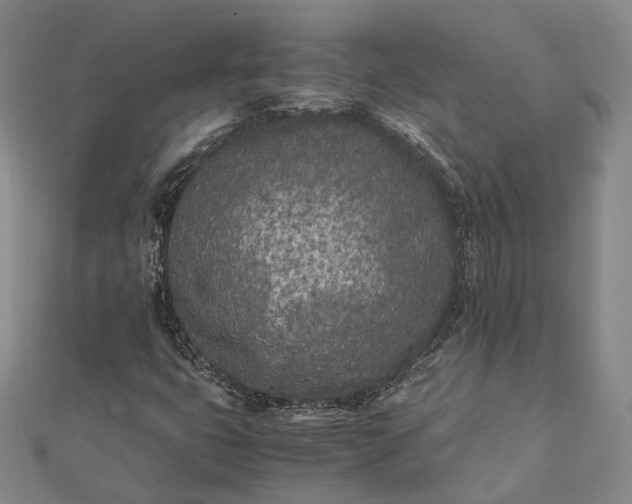 X0000111851399200908061304