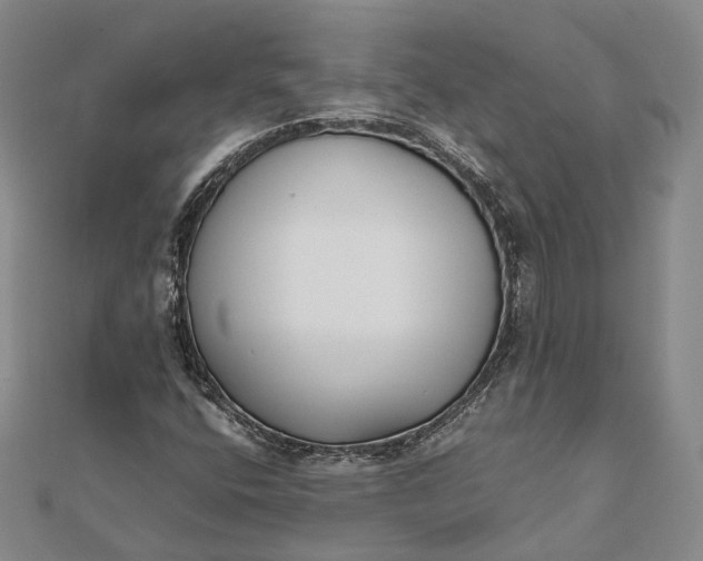 X0000111851400200908061304