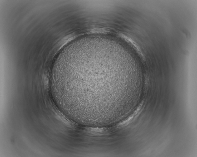 X0000111851401200908061304