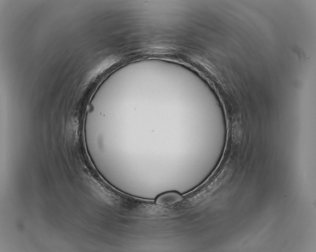 X0000111851402200908061304