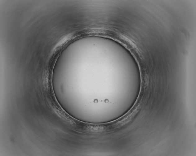 X0000111851403200908061304