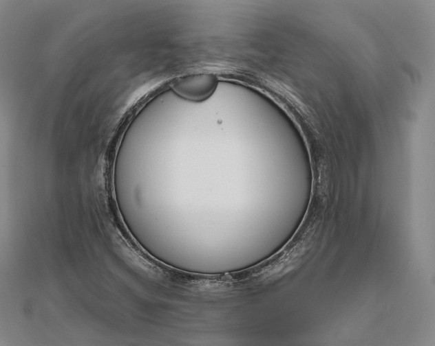 X0000111851404200908061304