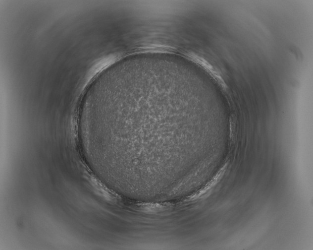 X0000111851405200908061304