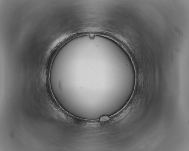 X0000111851406200908061304