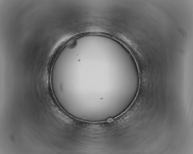 X0000111851408200908061304