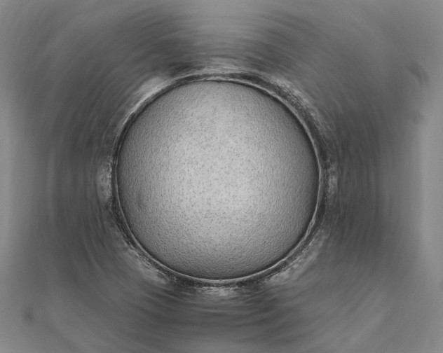 X0000111851409200908061304