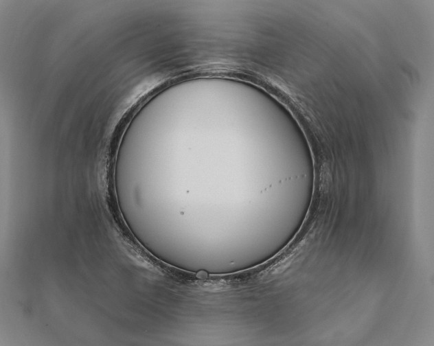 X0000111851410200908061304