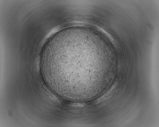 X0000111851411200908061305