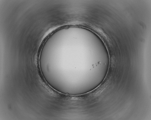 X0000111851412200908061305