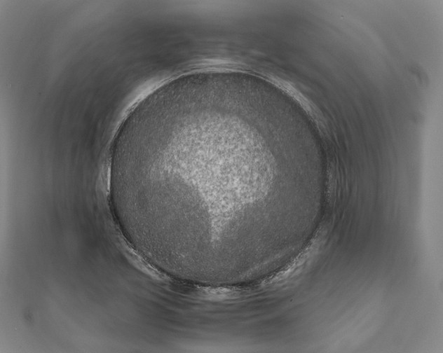 X0000111851413200908061305