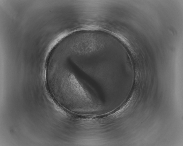 X0000111851414200908061305