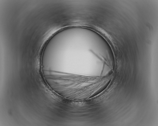 X0000111851415200908061305