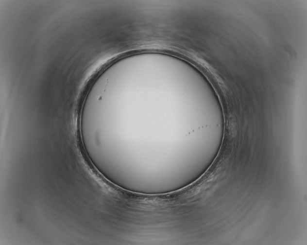 X0000111851416200908061305