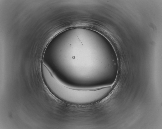 X0000111851417200908061305