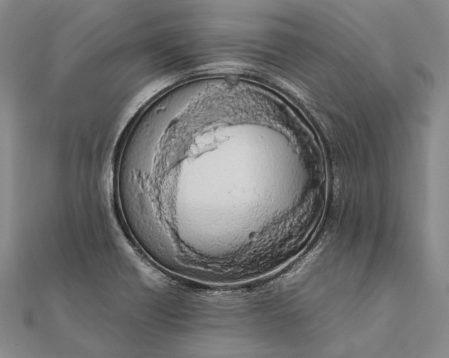 X0000111851418200908061305